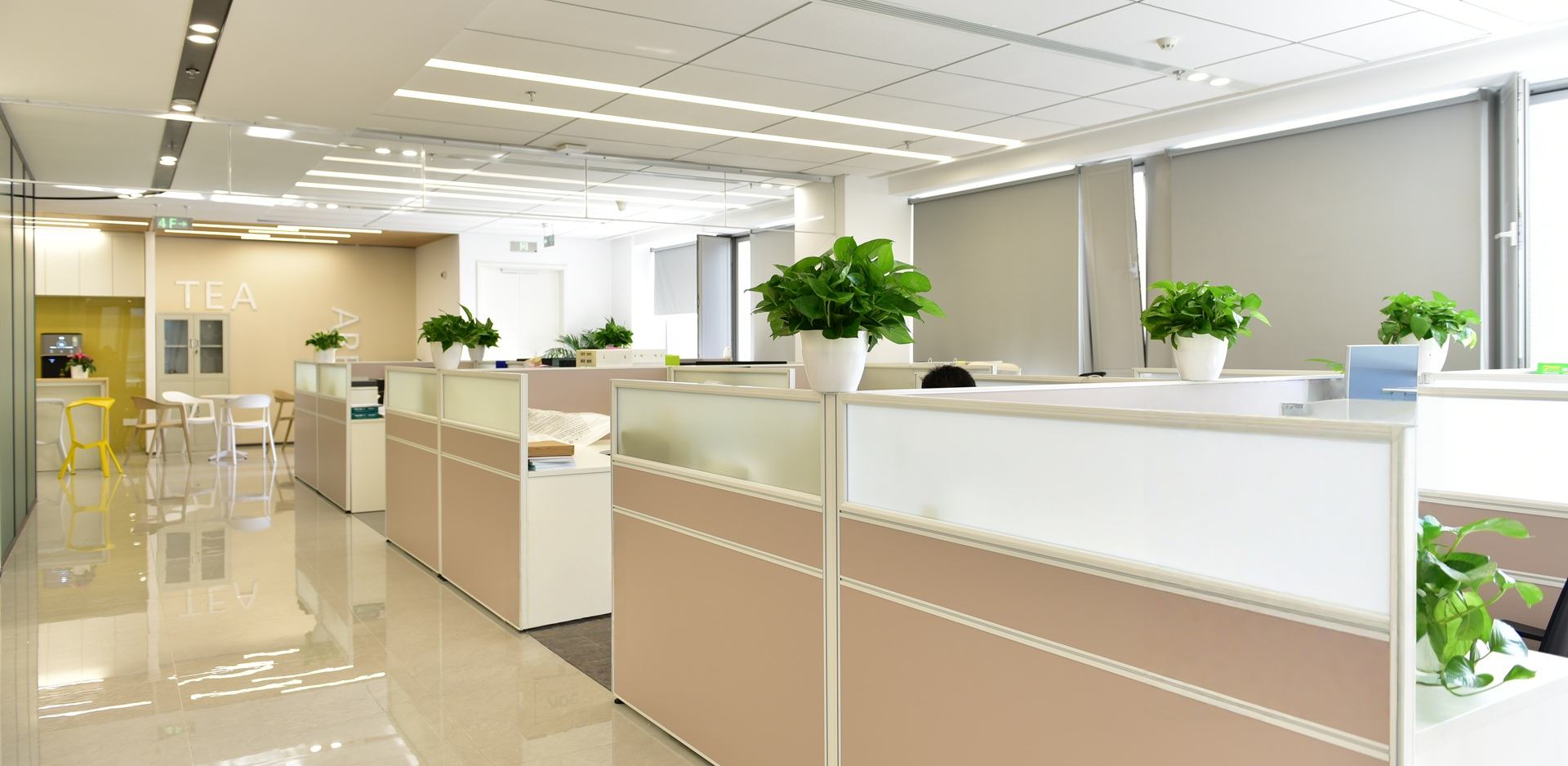 betway88西汉姆联